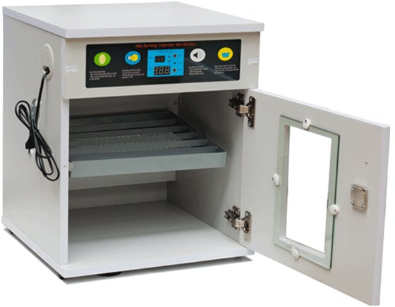 mua máy ấp trứng gà